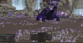 turtle.gif