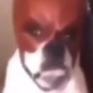 Deltaguard