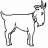 schnek