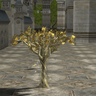 Tree of Life