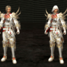 New Assassin Costume